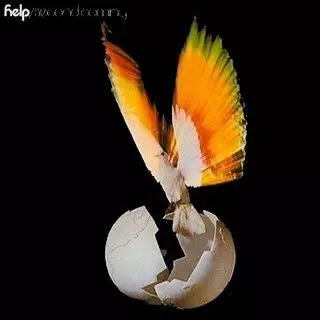 HELP (US) / ヘルプ / SECOND COMING