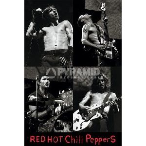RED HOT CHILI PEPPERS / レッド・ホット・チリ・ペッパーズ / LIVE (POSTER)