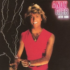 ANDY GIBB / アンディ・ギブ / AFTER DARK / アフター・ダーク