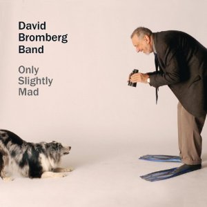 DAVID BROMBERG BAND / デヴィッド・ブロムバーグ・バンド / ONLY SLIGHTLY MAD