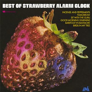 STRAWBERRY ALARM CLOCK / ストロベリー・アラーム・クロック / THE BEST OF THE STRAWBERRY ALARM CLOCK (180G LP)