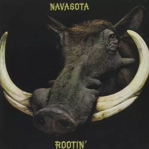 NAVASOTA / ROOTIN'