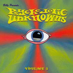 PSYCHEDELIC UNKNOWNS VOL. 05 (CD)/V.A. (PSYCHE)｜OLD ROCK