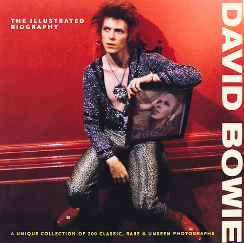 DAVID BOWIE / デヴィッド・ボウイ / THE ILLUSTRATED BIOGRAPHY (BY GARETH THOMAS)