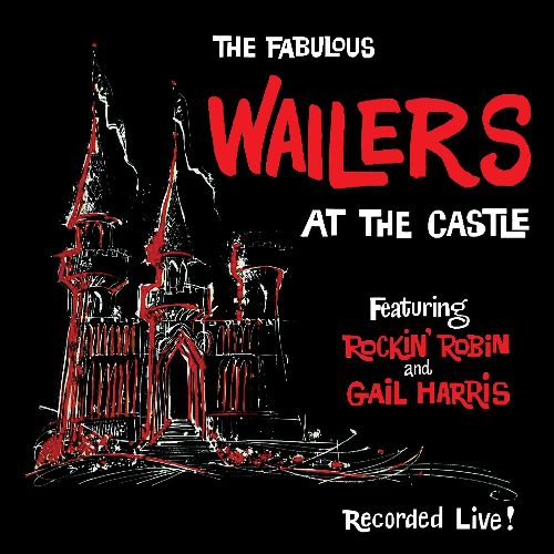 WAILERS (US ROCK) / ウェイラーズ (US ROCK) / AT THE CASTLE