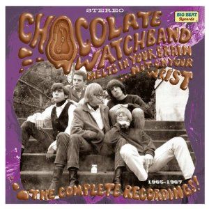 CHOCOLATE WATCHBAND / チョコレート・ウォッチバンド / MELTS IN YOUR BRAIN...NOT ON YOUR WRIST!