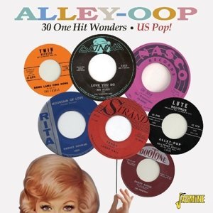 V.A. (OLDIES/50'S-60'S POP) / ALLEY-OOP - 30 ONE HIT WONDERS US POP!