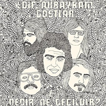 EDIP AKBAYRAM & DOSTLAR / NEDIR NE DEGILDIR? (LP)