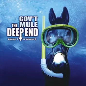 GOV'T MULE / ガヴァメント・ミュール / THE DEEP END