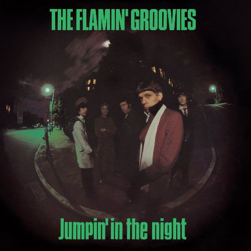 FLAMIN' GROOVIES / フレイミン・グルーヴィーズ / JUMPIN' IN THE NIGHT (180G LP)