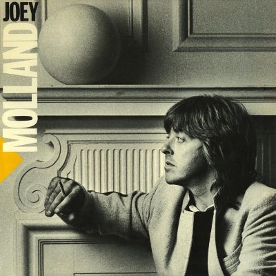 JOEY MOLLAND / ジョーイ・モランド / AFTER THE PEARL