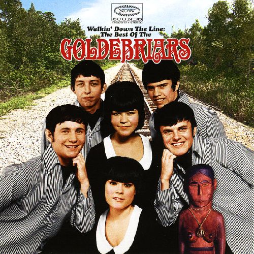 GOLDEBRIARS / ゴールドブライアーズ / WALKIN' DOWN THE LINE: THE BEST OF THE GOLDEBRIARS