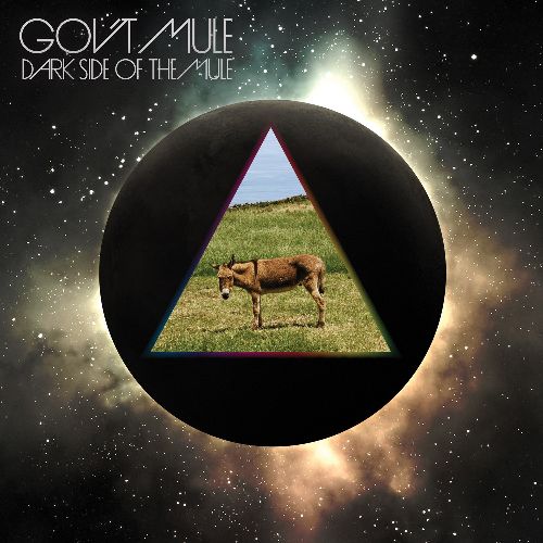GOV'T MULE / ガヴァメント・ミュール / DARK SIDE OF THE MULE (1CD)