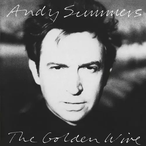 ANDY SUMMERS / アンディ・サマーズ商品一覧｜JAZZ｜ディスク