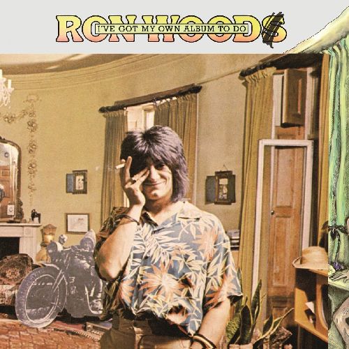 RON WOOD / ロン・ウッド / I'VE GOT MY OWN ALBUM TO DO (180G LP)