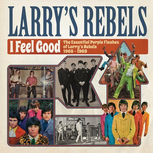 LARRY'S REBELS / I FEEL GOOD: THE ESSENTIAL PURPLE FLASHES OF LARRY'S REBELS 1965-1969