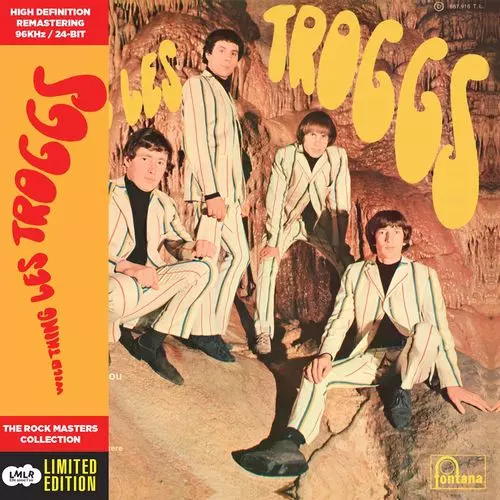 トロッグス The Troggs 衝撃のワイルド*シング 入手困難 希少 WILD THING/TROGGS/トロッグス｜OLD ROCK｜ディスクユニオン