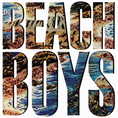 BEACH BOYS / ビーチ・ボーイズ / THE BEACH BOYS (180G LP)