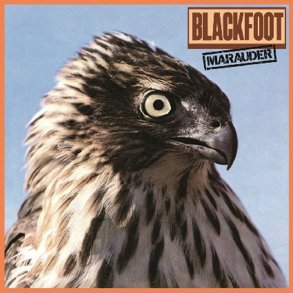 BLACKFOOT / ブラックフット / MARAUDER (LP)
