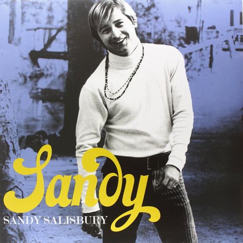 SANDY SALISBURY / サンディ・サルスベリー / SANDY! (LP)