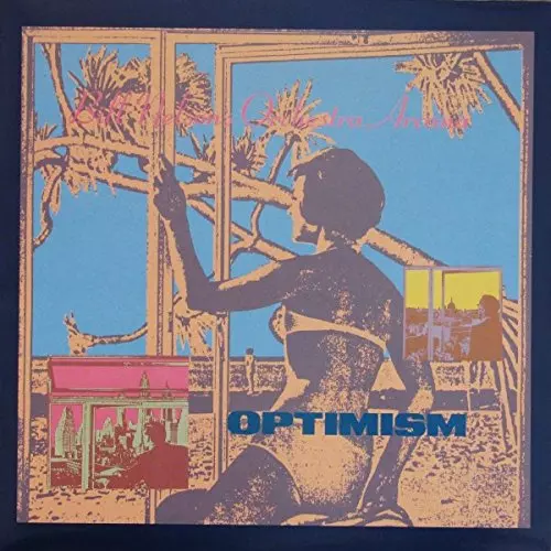 BILL NELSON'S ORCHESTRA ARCANA / ビル・ネルソンズ・オーケストラ・アルカナ / OPTIMISM