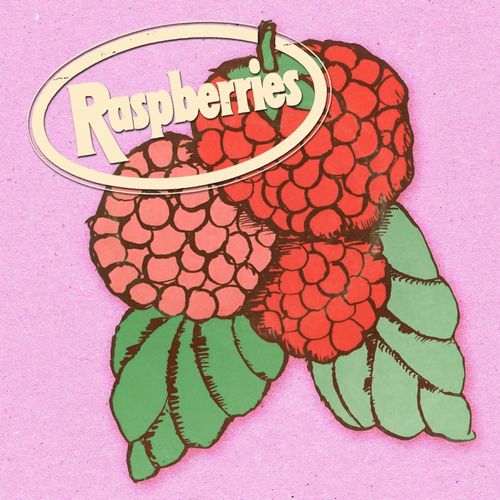 RASPBERRIES / ラズベリーズ / CLASSIC ALBUM BOX SET (4CD)