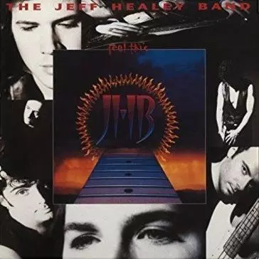 JEFF HEALEY / ジェフ・ヒーリー / FEEL THIS (180G LP)