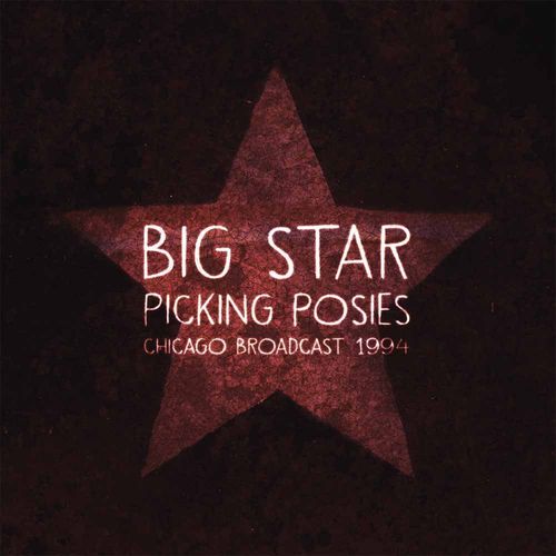 BIG STAR / ビッグ・スター / PICKING POSIES (2LP)