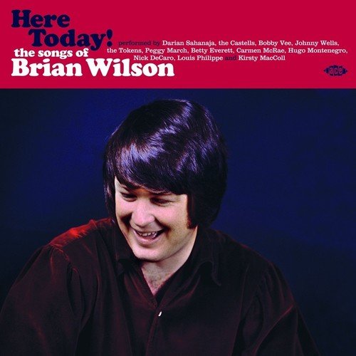 BRIAN WILSON / ブライアン・ウィルソン / HERE TODAY! THE SONGS OF BRIAN WILSON (COLORED 180G LP)
