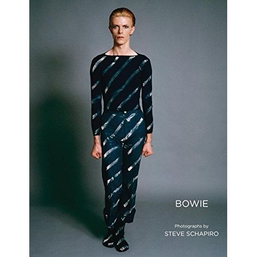 DAVID BOWIE / デヴィッド・ボウイ / BOWIE (PHOTOGRAPHS BY STEVE SCHAPIRO)