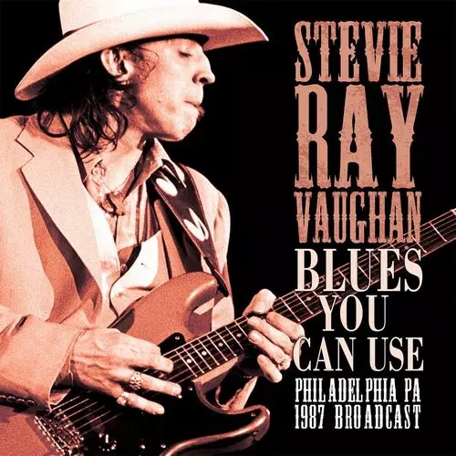 BLUES YOU CAN USE/STEVIE RAY VAUGHAN/スティーヴィー・レイ