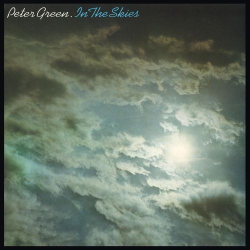 PETER GREEN / ピーター・グリーン / IN THE SKIES (180G LP)