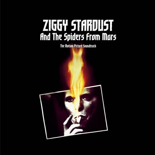 DAVID BOWIE / デヴィッド・ボウイ / ZIGGY STARDUST AND THE SPIDERS FROM MARS THE MOTION PICTURE SOUNDTRACK (2LP)