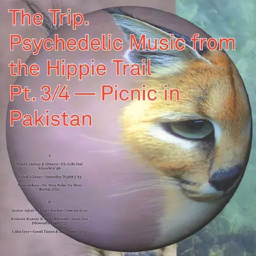 V.A. (WORLD MUSIC) / V.A. (辺境) / THE TRIP. PSYCHEDELIC MUSIC FROM THE HIPPIE TRAIL PT. 3/4 - PICNIC IN PAKISTAN