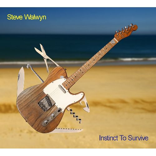 STEVE WALWYN / INSTINCT TO SURVIVE
