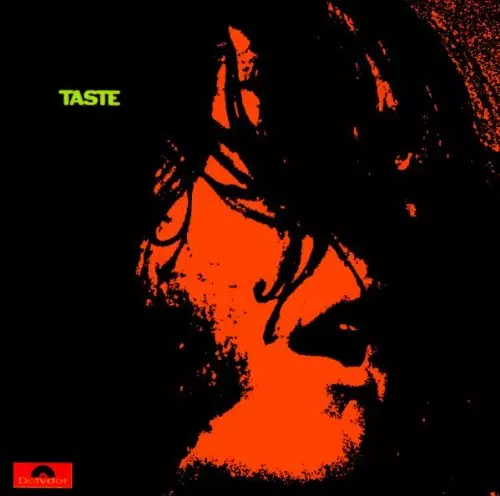 TASTE / テイスト / TASTE (180G LP)
