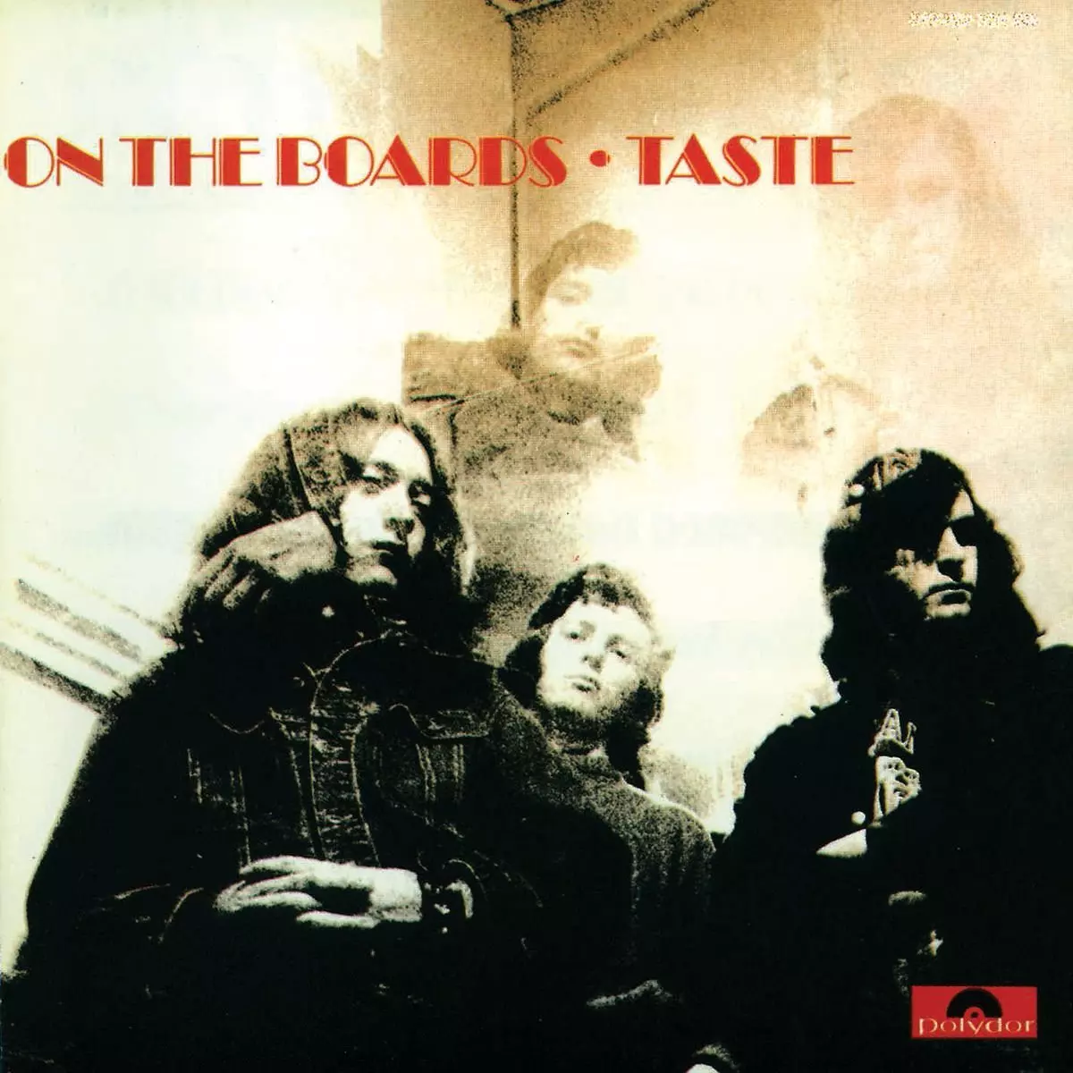 TASTE / テイスト / ON THE BOARDS (180G LP)