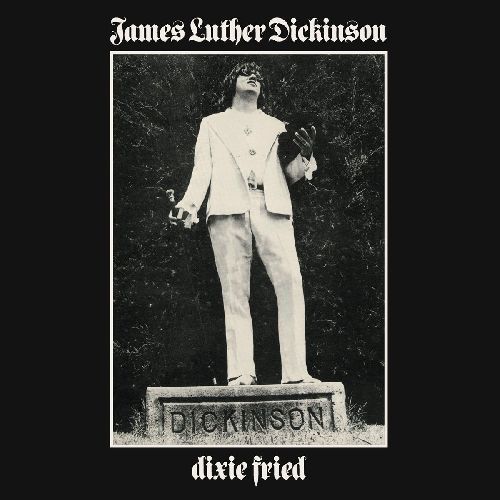 JAMES LUTHER DICKINSON / ジェイムス・ルーサー・ディッキンソン / DIXIE FRIED (LP)