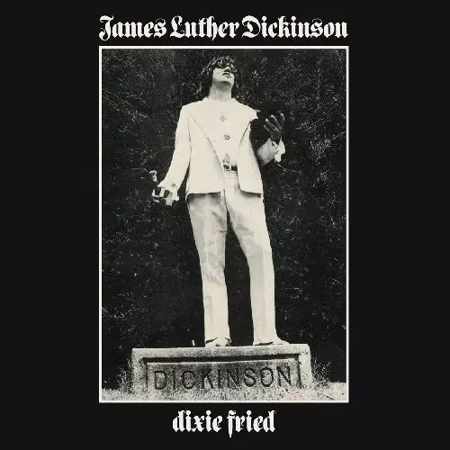 DIXIE FRIED (LP)/JAMES LUTHER DICKINSON/ジェイムス・ルーサー