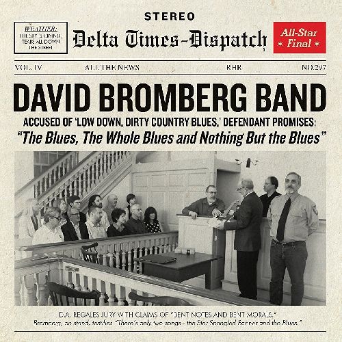 DAVID BROMBERG BAND / デヴィッド・ブロムバーグ・バンド / THE BLUES, THE WHOLE BLUES AND NOTHING BUT THE BLUES (LP)
