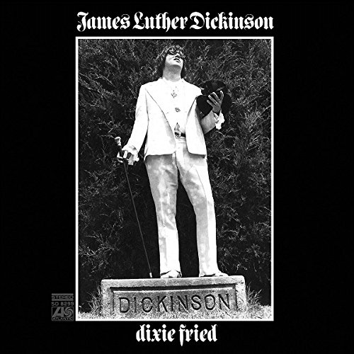JIM DICKINSON / ジム・ディッキンソン / DIXIE FRIED (2LP +BONUS)