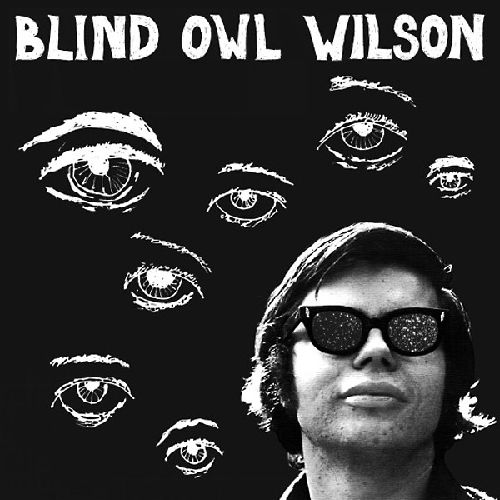 ALAN WILSON / アラン・ウィルソン / BLIND OWL WILSON (LP)