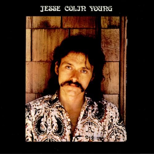 JESSE COLIN YOUNG / ジェシ・コリン・ヤング / SONG FOR JULI (LP)