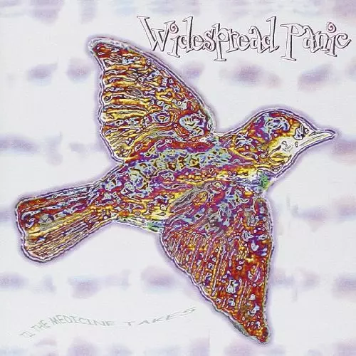 WIDESPREAD PANIC / TIL MEDICINE TAKES