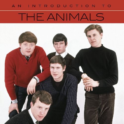 ANIMALS / アニマルズ / AN INTRODUCTION TO THE ANIMALS