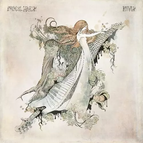 PROCOL HARUM / プロコル・ハルム / NOVUM (2LP)