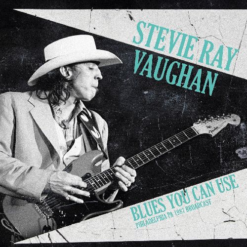 STEVIE RAY VAUGHAN / スティーヴィー・レイ・ヴォーン / BLUES YOU CAN USE (2LP)