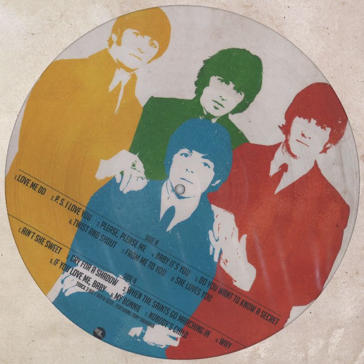 BEATLES / ビートルズ / BASICS (LTD PICTURE DISC)