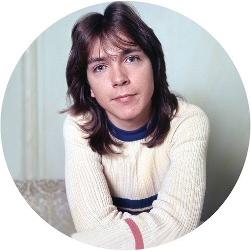 DAVID CASSIDY / デヴィッド・キャシディ / I THINK I LOVE YOU GREATEST HITS LIVE (PICTURE DISC LP)