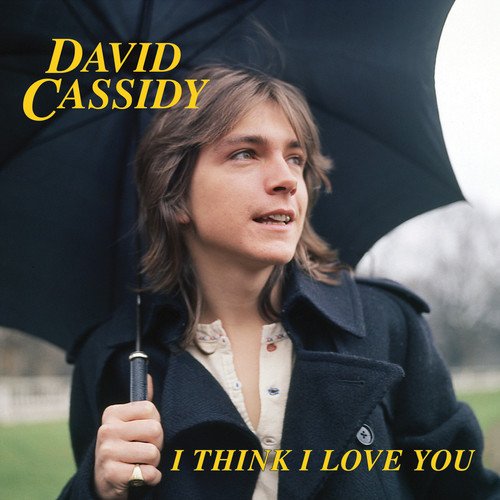 DAVID CASSIDY / デヴィッド・キャシディ / I THINK I LOVE YOU (7")